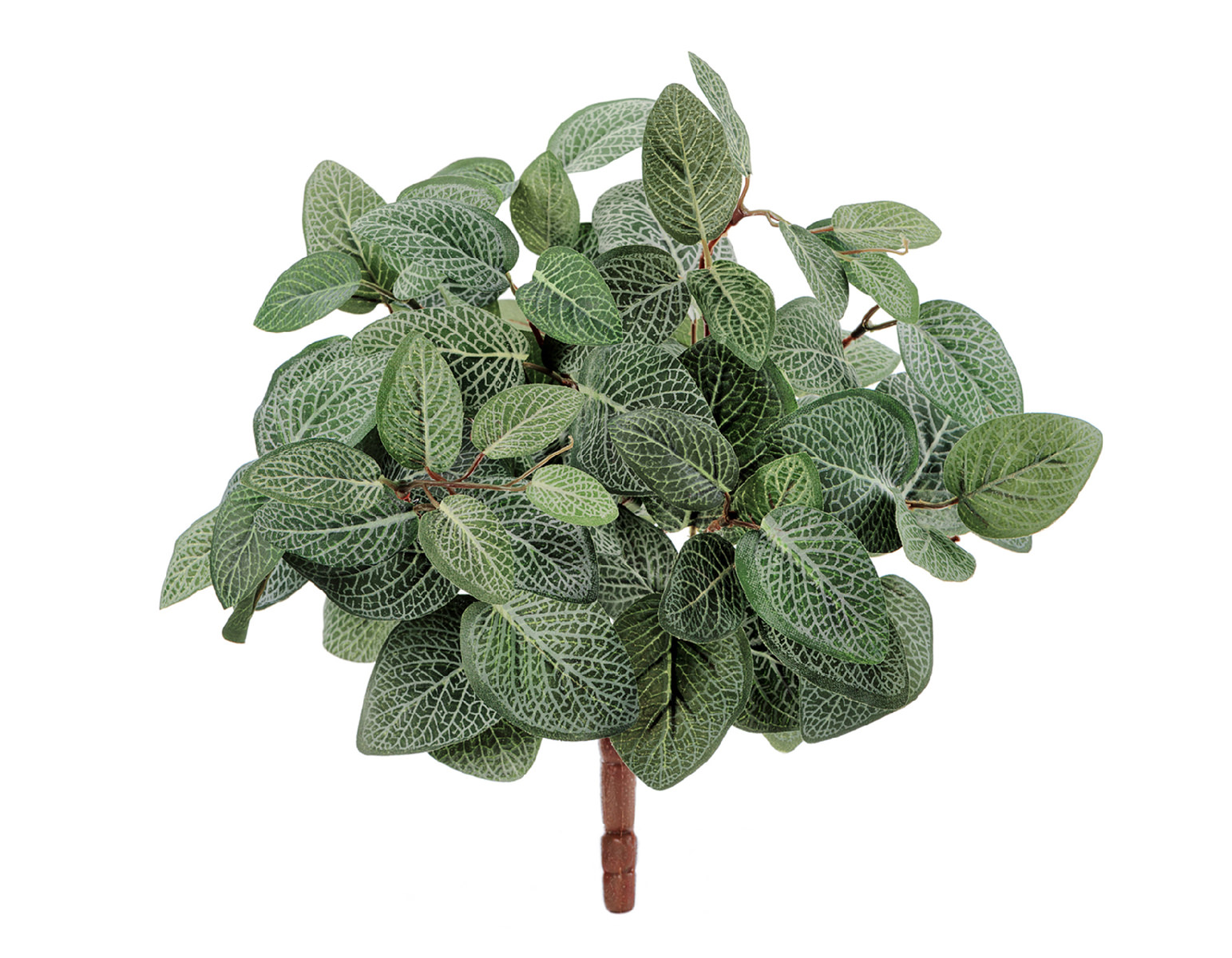 import/20.1067N