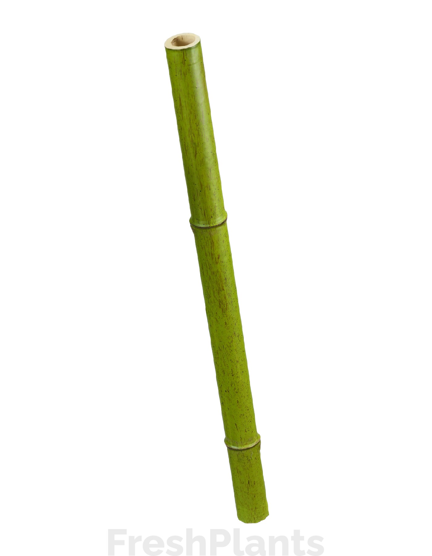 Бамбук стебель полый св. зелёный толстый искусственный 30.0611062SM