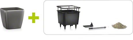 quadro ls aio