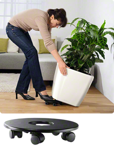 quadro rolluntersetzer