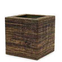 kashpo-plants-first-choice1