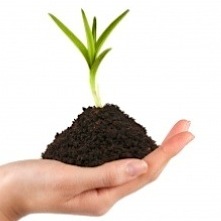 plant-in-hand