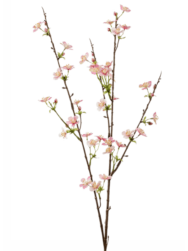 30/apple-blossom-8ee419800