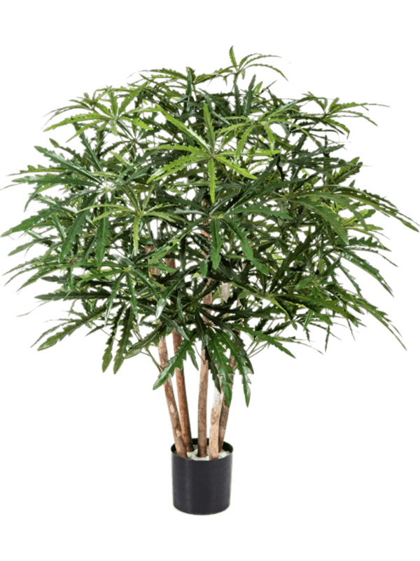 Aralia Branched 8FW51503N 30/aralia-tree-8fw51503n