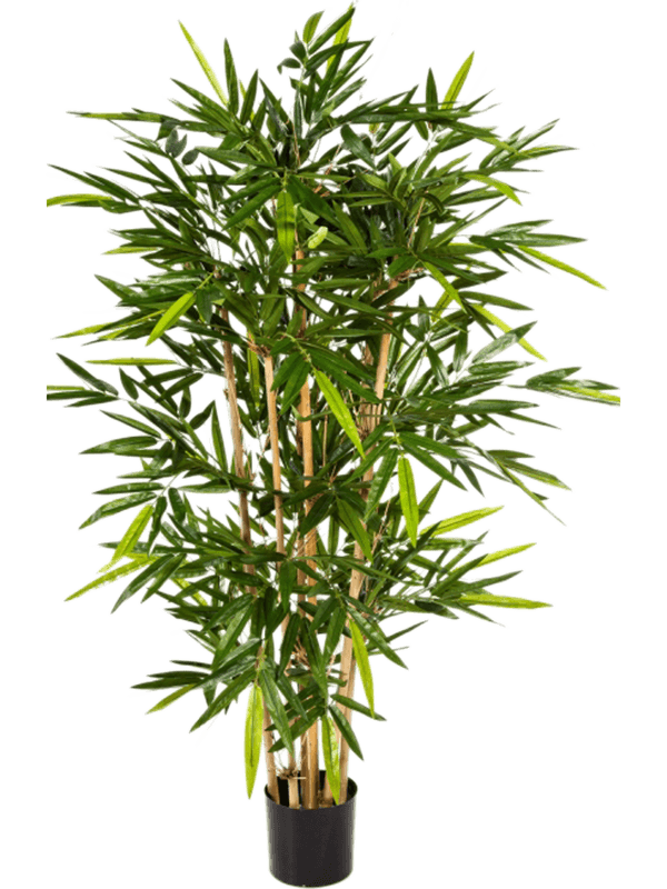 Bamboo Column 8BAMBTU35 30/bamboo-8bambtu35