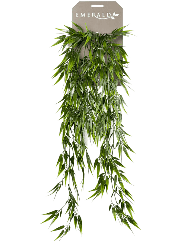 Bamboo Hanging Bush 8EE419268 30/bamboo-8ee419268