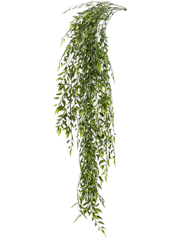 Bamboo mix Hanging Bush 8EE421433 30/bamboo-mix-8ee421433