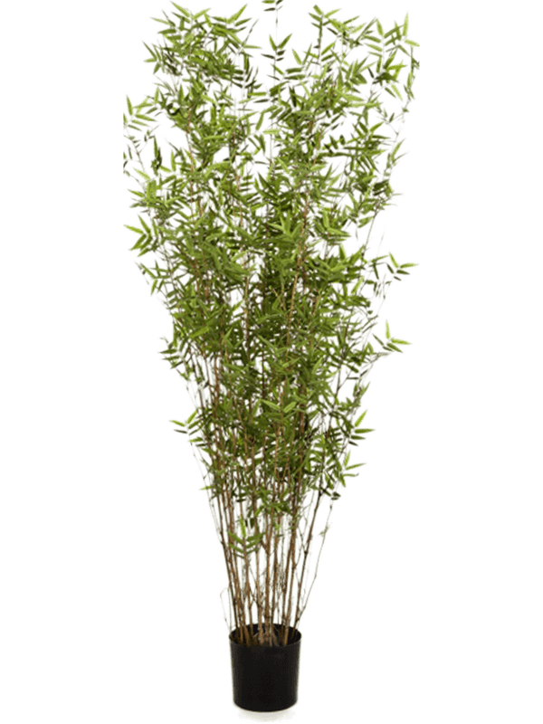 Bamboo oriental Column 8BAORTU20 30/bamboo-oriental-8baortu20