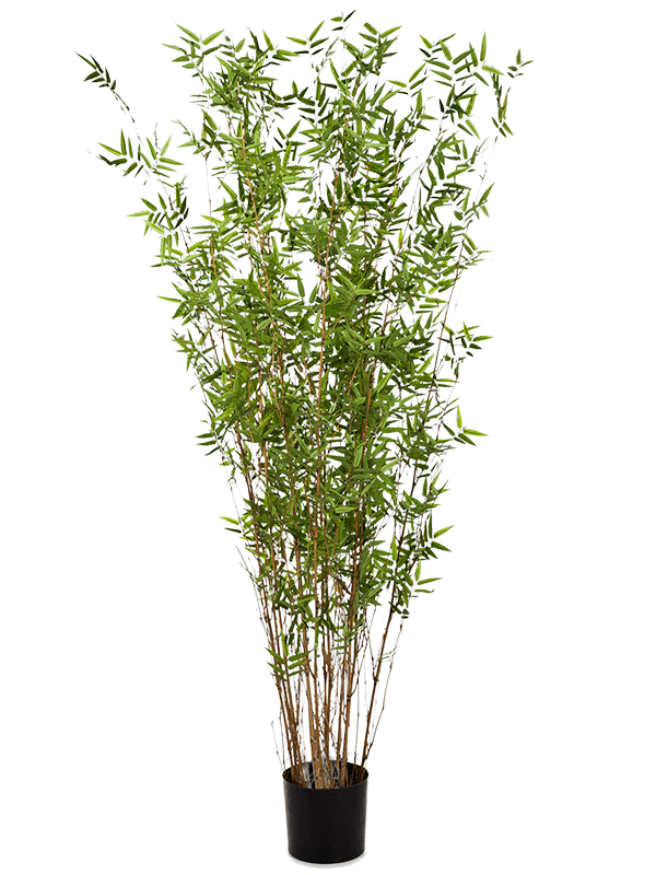 Bamboo oriental Column 8BAORTU40 30/bamboo-oriental-8baortu40