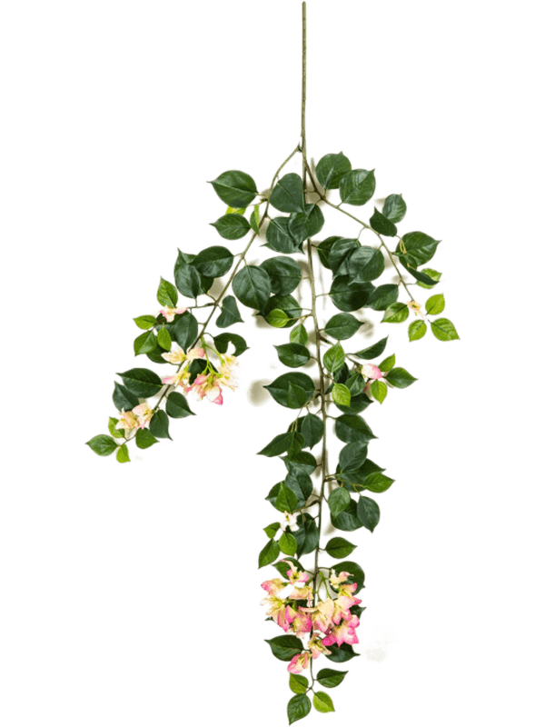 30/bouganvillea-spray-8fw1568pk