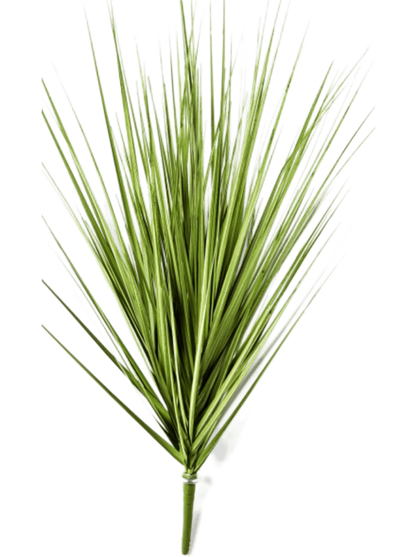 30/carex-grass-8fw1054p4
