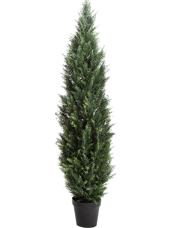 30/cedar-tower-8fw60180b
