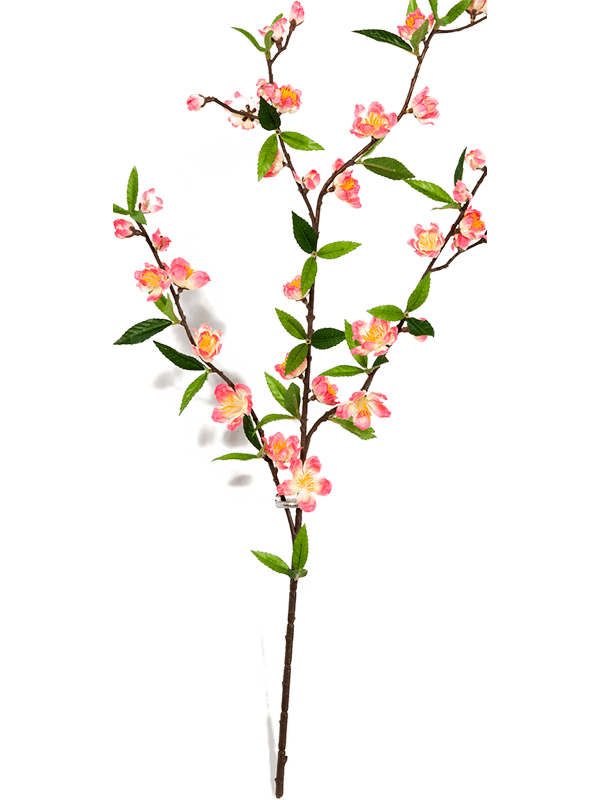 30/cherry-blossom-spray-8fw1644rs