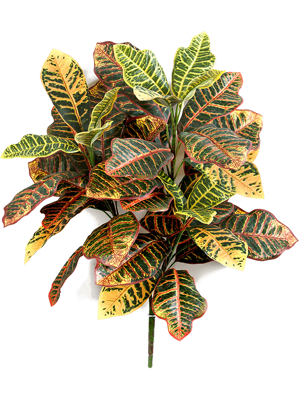 30/croton-8fw1070n