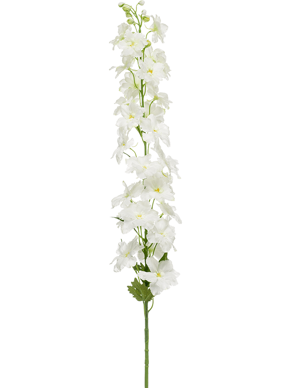 30/delphinium-8ee423846