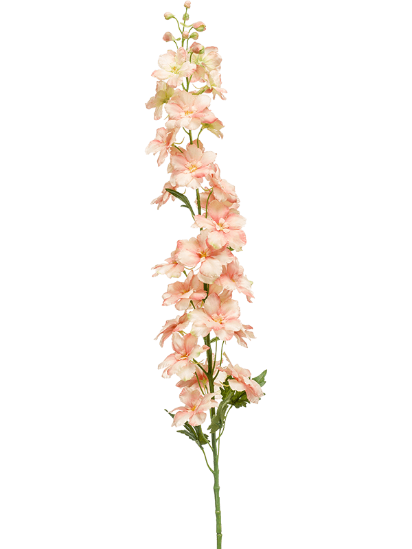 30/delphinium-8ee423847
