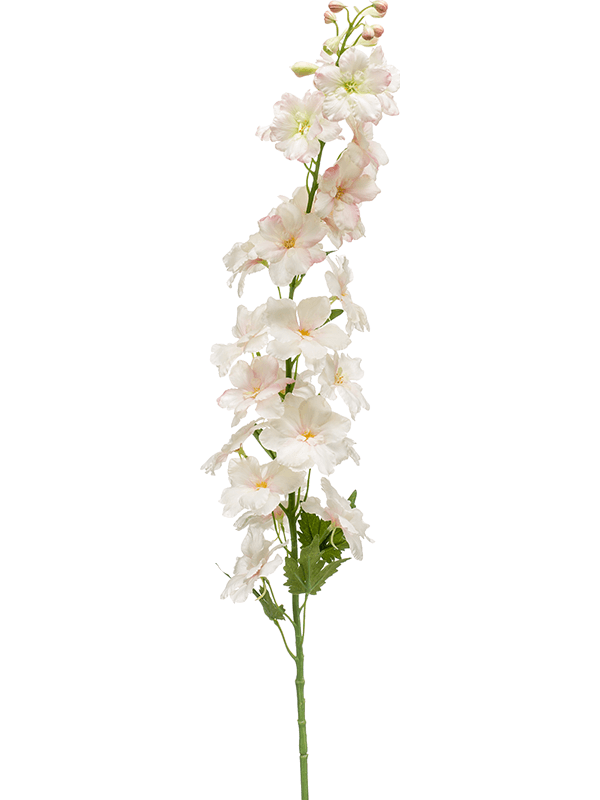 30/delphinium-8ee423848