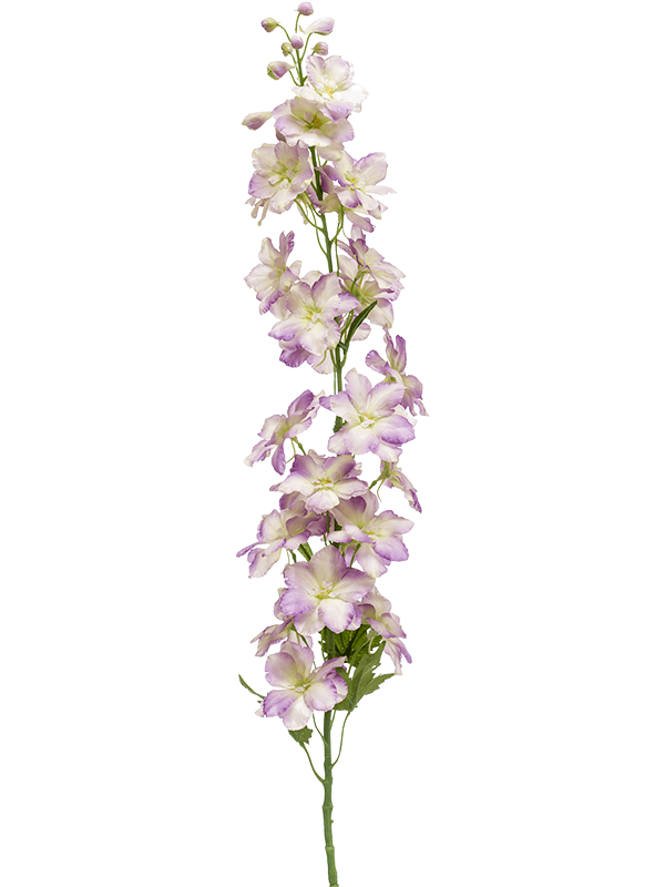 30/delphinium-8ee423849