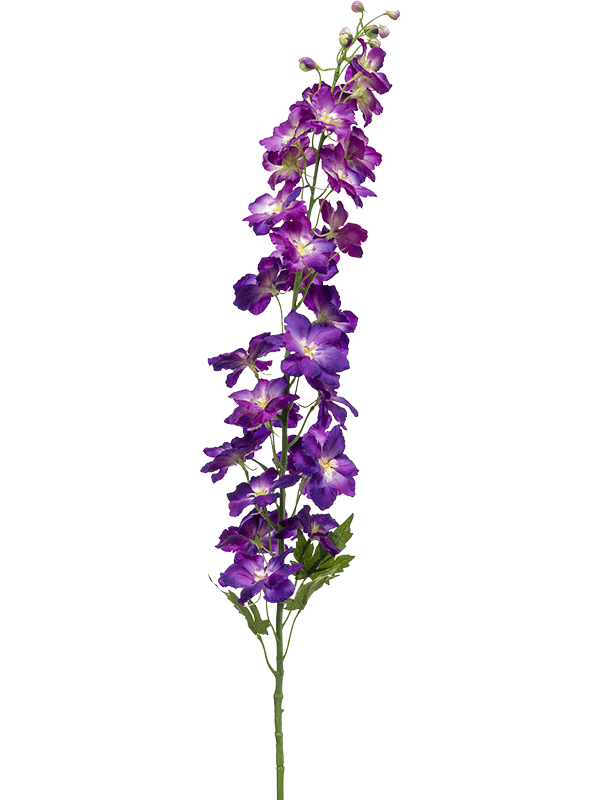 30/delphinium-8ee423850