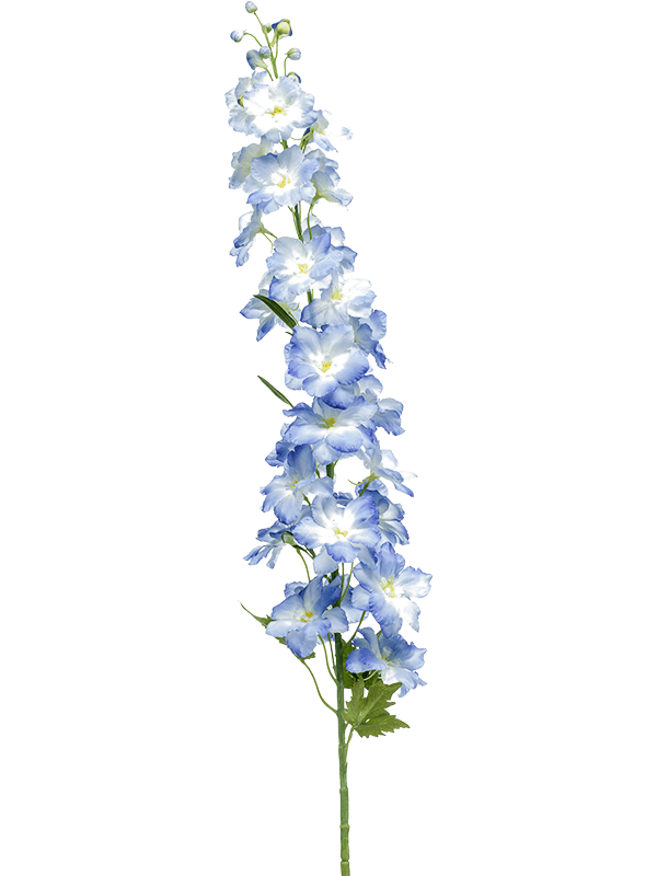 30/delphinium-8ee423851