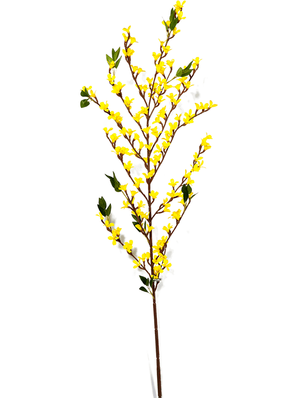 30/forsythia-spray-8fw1642y