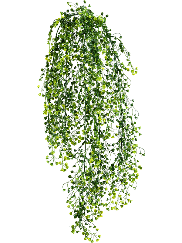 Baby Tear Hanging Bush (12x) 8FW01418N 30/green-ivy-8fw01418n