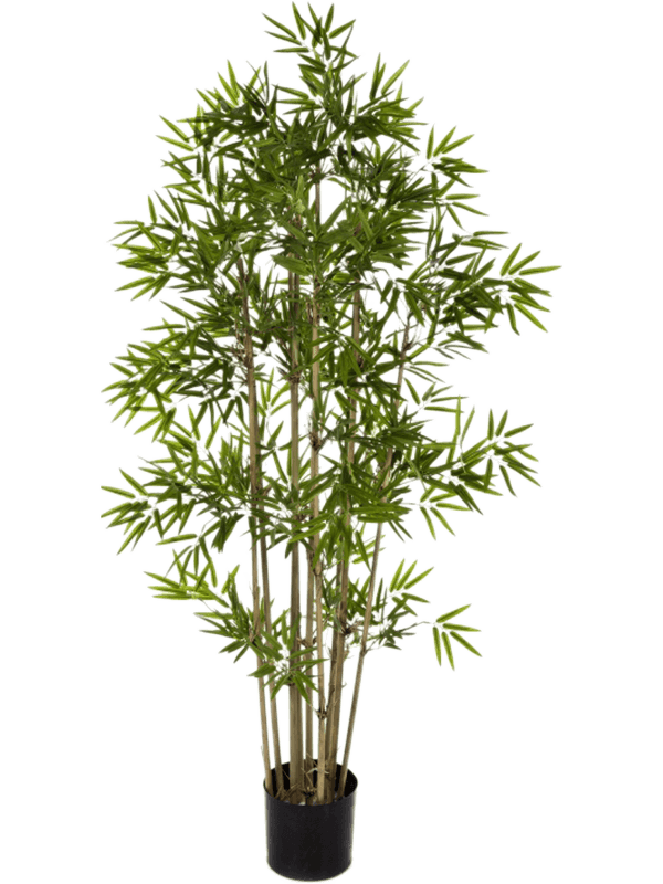 Bamboo Branched 8FW34006N 30/japanese-bamboo-8fw34006n