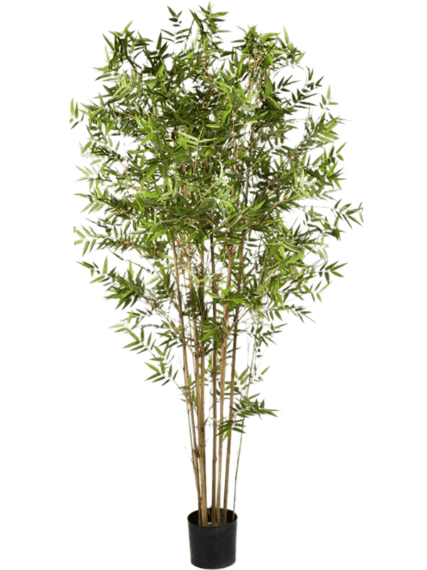 Bamboo japanese oriental Branched 8FW34304N 30/japanese-oriental-bamboo-8fw34304n