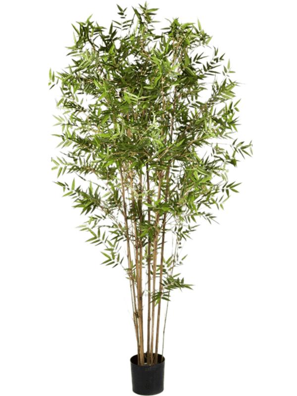 Bamboo japanese oriental Branched 8FW34305N 30/japanese-oriental-bamboo-8fw34305n
