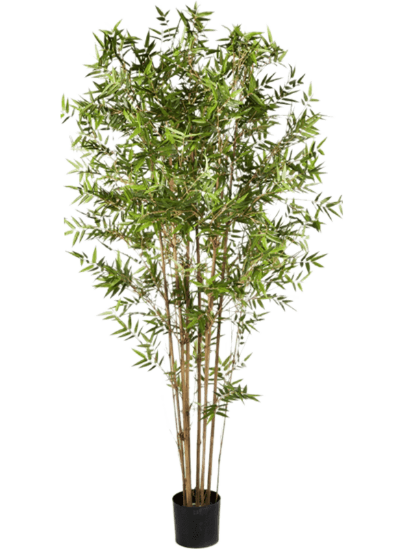 Bamboo japanese oriental Branched 8FW34307N 30/japanese-oriental-bamboo-8fw34307n