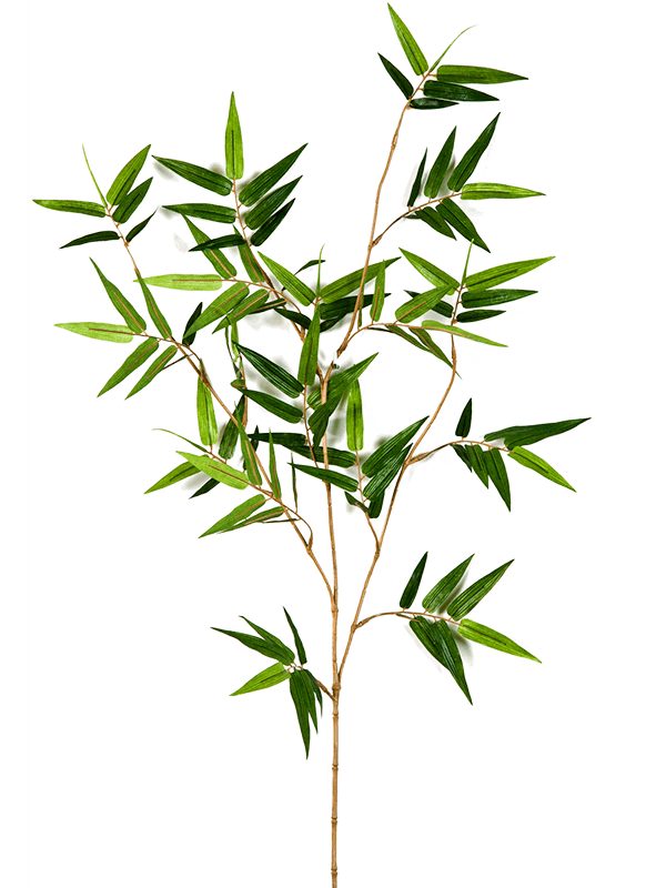 30/japanse-oriental-bamboo-spray-8fw1487n