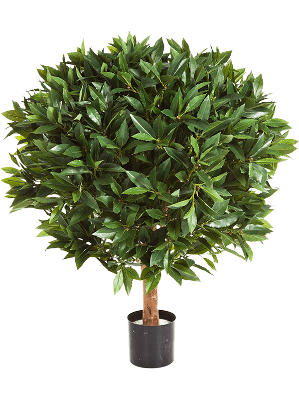 30/laurel-ball-de-luxe-tree-8fw41202fr