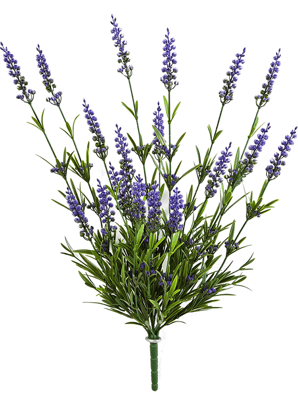30/lavender-8fw5935pu