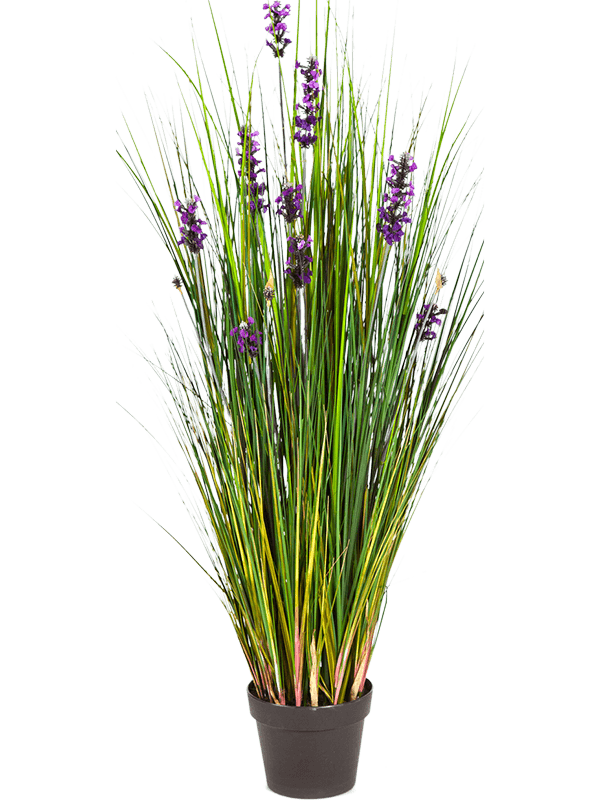 30/lavender-grass-8fw1047lv2