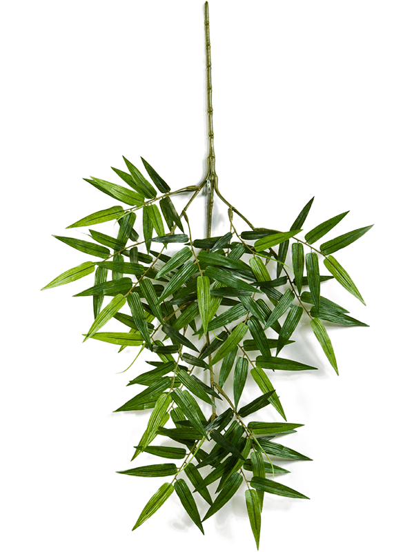 30/oriental-bamboo-spray-8fw1486n