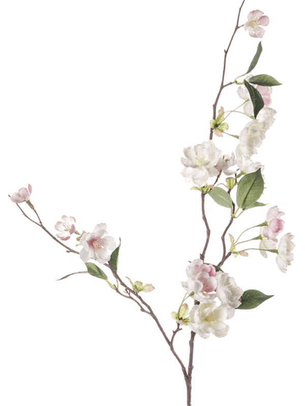 30/peach-blossom-8ee416046