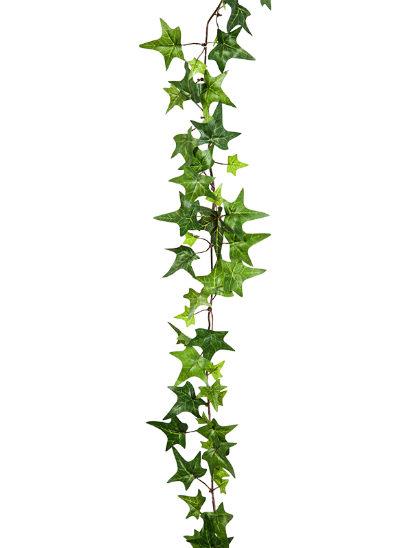 30/star-ivy-garland-8fw1394n