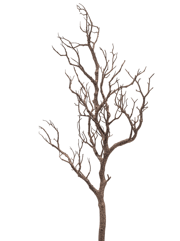 30/trunk-natural-8ee420208