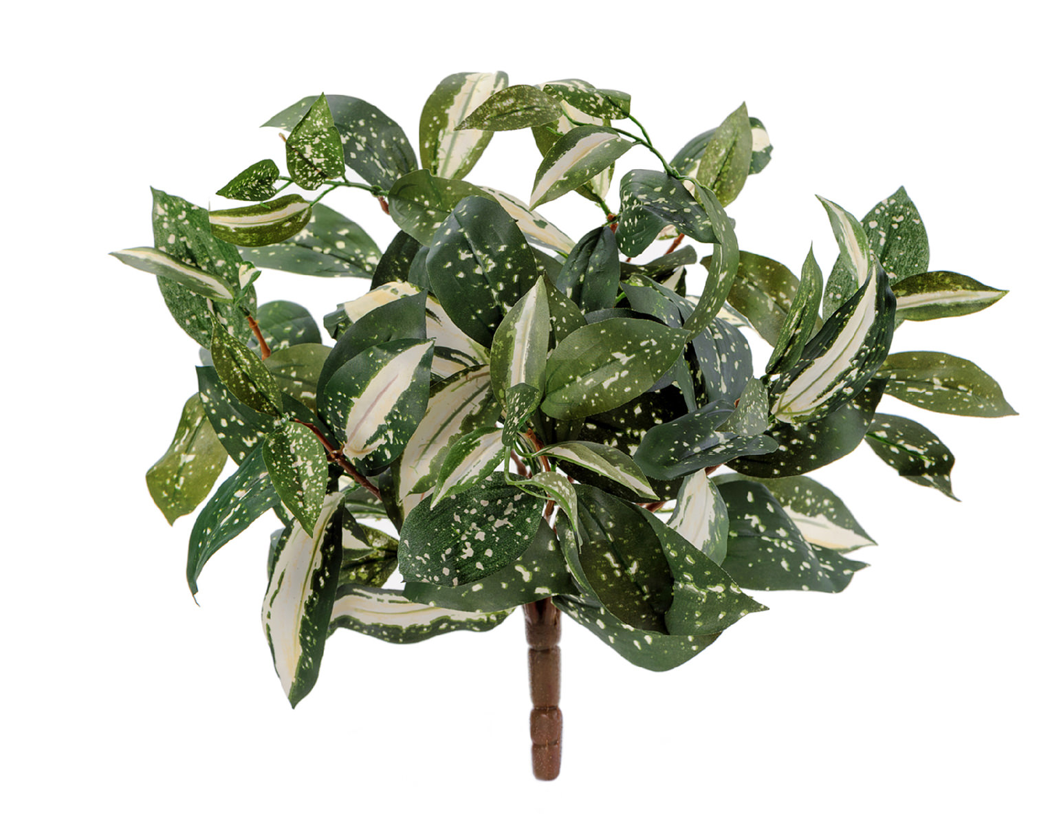 import/20.1066N