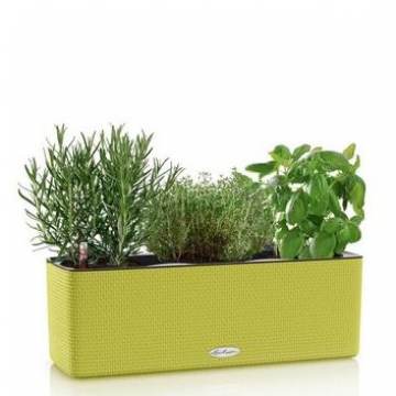 images/stories/virtuemart/product/lechuza/1749-15_le-balconissima-color-product-listingimage