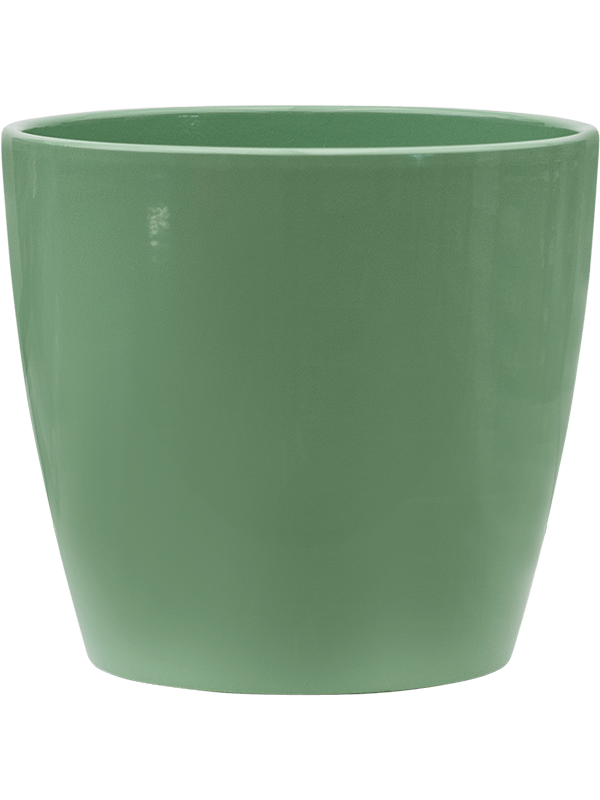 Кашпо Feliz (Couple Boston Pale Green) Арт: 6LOK6925G