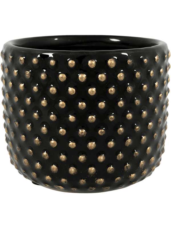 Кашпо Bolino (Pot Shiny Black) Арт: 6PTR65900