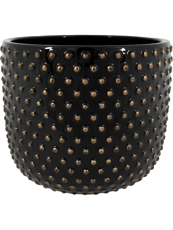 Кашпо Bolino (Pot Shiny Black) Арт: 6PTR65905