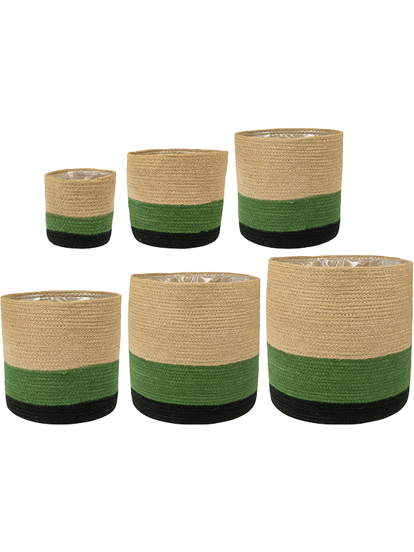 Кашпо Megan (Pot Kiwi (set of 6)) Арт: 6PTR69454