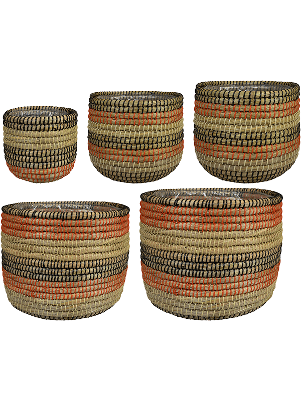 Кашпо Jane (Pot Desert (set of 5)) Арт: 6PTR69455