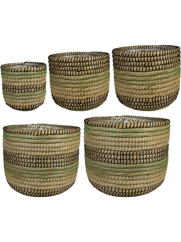 Кашпо Jane (Pot Jungle (set of 5)) Арт: 6PTR69456