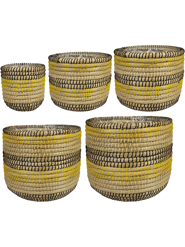 Кашпо Jane (Pot Savana (set of 5)) Арт: 6PTR69457