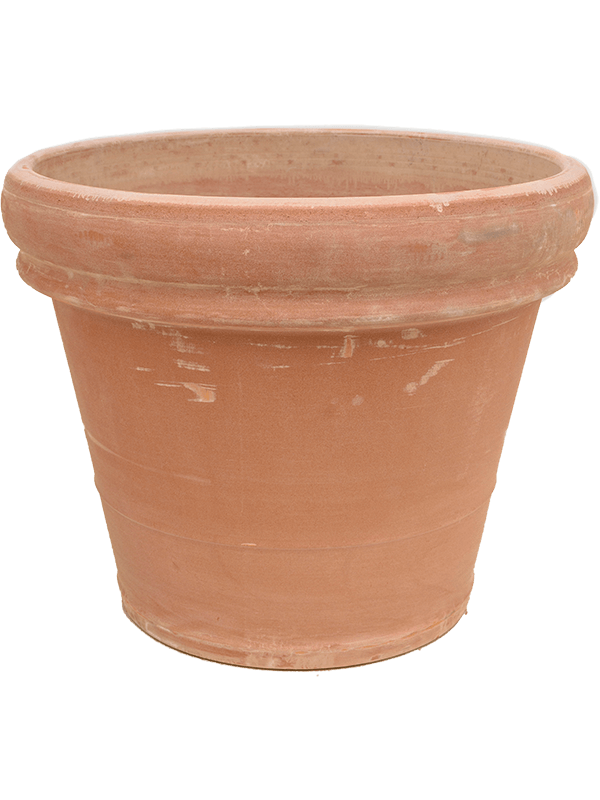 Кашпо Terra Cotta (Doppio bordo antiques) Арт: 6TDBA5749