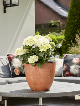 nieuwkoop-planters/6ARTBOO45_1