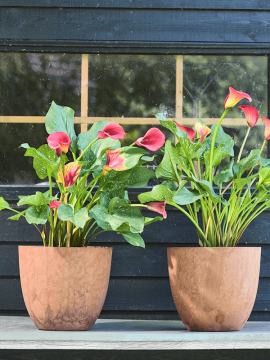 nieuwkoop-planters/6ARTBOO45_2